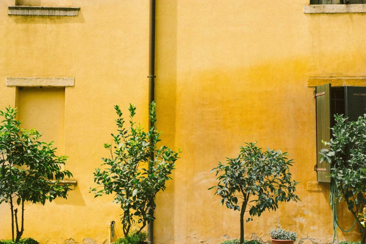 Villa Fava Montagnana  Exteriér fotografie